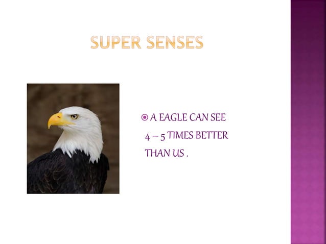 Looking around 5 th class-ncert | PPT