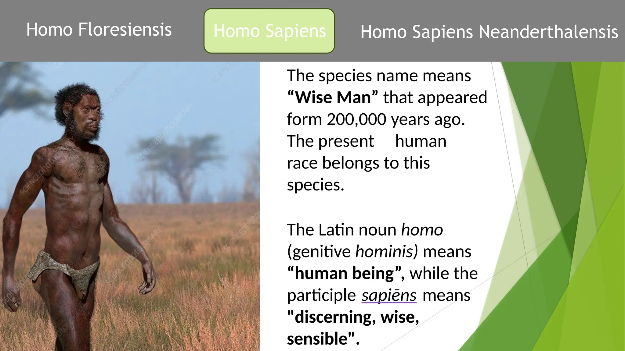 Looking Back at Human Biocultural and Social Evolution.pptx