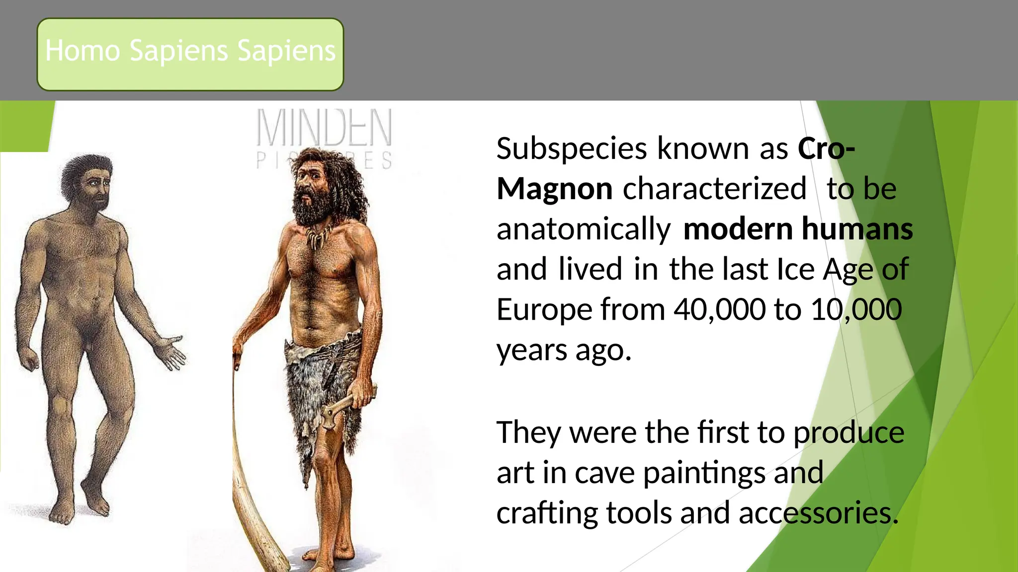 Looking Back at Human Biocultural and Social Evolution.pptx