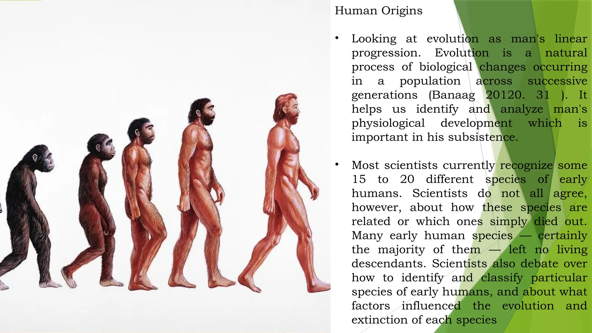 Looking Back at Human Biocultural and Social Evolution.pptx