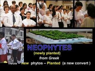 (newly planted)
from Greek
neos – New phytos – Planted (a new convert )
 