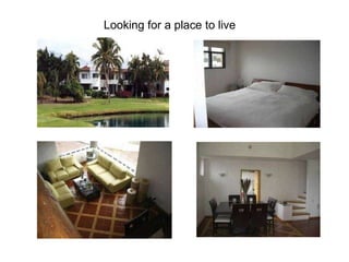 Looking for a place to live   