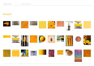 Looking for Hue Visual Research Presentation
Marigold
 