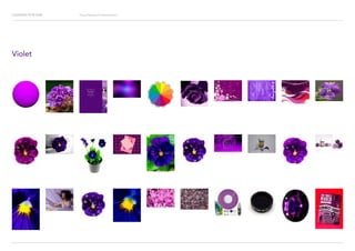 Looking for Hue Visual Research Presentation
Violet
 