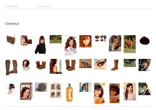 Looking for Hue Visual Research Presentation
Chestnut
 