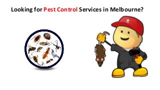 Looking for Pest Control Services in Melbourne?
 