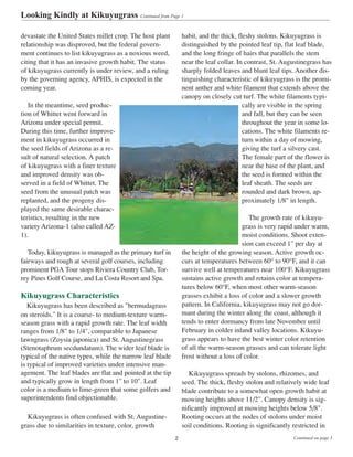 devastate the United States millet crop. The host plant
relationship was disproved, but the federal govern-
ment continues to list kikuyugrass as a noxious weed,
citing that it has an invasive growth habit. The status
of kikuyugrass currently is under review, and a ruling
by the governing agency, APHIS, is expected in the
coming year.
In the meantime, seed produc-
tion of Whittet went forward in
Arizona under special permit.
During this time, further improve-
ment in kikuyugrass occurred in
the seed fields of Arizona as a re-
sult of natural selection. A patch
of kikuyugrass with a finer texture
and improved density was ob-
served in a field of Whittet. The
seed from the unusual patch was
replanted, and the progeny dis-
played the same desirable charac-
teristics, resulting in the new
variety Arizona-1 (also called AZ-
1).
Today, kikuyugrass is managed as the primary turf in
fairways and rough at several golf courses, including
prominent PGA Tour stops Riviera Country Club, Tor-
rey Pines Golf Course, and La Costa Resort and Spa.
Kikuyugrass Characteristics
Kikuyugrass has been described as "bermudagrass
on steroids." It is a coarse- to medium-texture warm-
season grass with a rapid growth rate. The leaf width
ranges from 1/8" to 1/4", comparable to Japanese
lawngrass (Zoysia japonica) and St. Augustinegrass
(Stenotaphrum secdundatum). The wider leaf blade is
typical of the native types, while the narrow leaf blade
is typical of improved varieties under intensive man-
agement. The leaf blades are flat and pointed at the tip
and typically grow in length from 1" to 10". Leaf
color is a medium to lime-green that some golfers and
superintendents find objectionable.
Kikuyugrass is often confused with St. Augustine-
grass due to similarities in texture, color, growth
habit, and the thick, fleshy stolons. Kikuyugrass is
distinguished by the pointed leaf tip, flat leaf blade,
and the long fringe of hairs that parallels the stem
near the leaf collar. In contrast, St. Augustinegrass has
sharply folded leaves and blunt leaf tips. Another dis-
tinguishing characteristic of kikuyugrass is the promi-
nent anther and white filament that extends above the
canopy on closely cut turf. The white filaments typi-
cally are visible in the spring
and fall, but they can be seen
throughout the year in some lo-
cations. The white filaments re-
turn within a day of mowing,
giving the turf a silvery cast.
The female part of the flower is
near the base of the plant, and
the seed is formed within the
leaf sheath. The seeds are
rounded and dark brown, ap-
proximately 1/8" in length.
The growth rate of kikuyu-
grass is very rapid under warm,
moist conditions. Shoot exten-
sion can exceed 1" per day at
the height of the growing season. Active growth oc-
curs at temperatures between 60° to 90°F, and it can
survive well at temperatures near 100°F. Kikuyugrass
sustains active growth and retains color at tempera-
tures below 60°F, when most other warm-season
grasses exhibit a loss of color and a slower growth
pattern. In California, kikuyugrass may not go dor-
mant during the winter along the coast, although it
tends to enter dormancy from late November until
February in colder inland valley locations. Kikuyu-
grass appears to have the best winter color retention
of all the warm-season grasses and can tolerate light
frost without a loss of color.
Kikuyugrass spreads by stolons, rhizomes, and
seed. The thick, fleshy stolon and relatively wide leaf
blade contribute to a somewhat open growth habit at
mowing heights above 11/2". Canopy density is sig-
nificantly improved at mowing heights below 5/8".
Rooting occurs at the nodes of stolons under moist
soil conditions. Rooting is significantly restricted in
Looking Kindly at Kikuyugrass Continued from Page 1
Continued on page 32
 