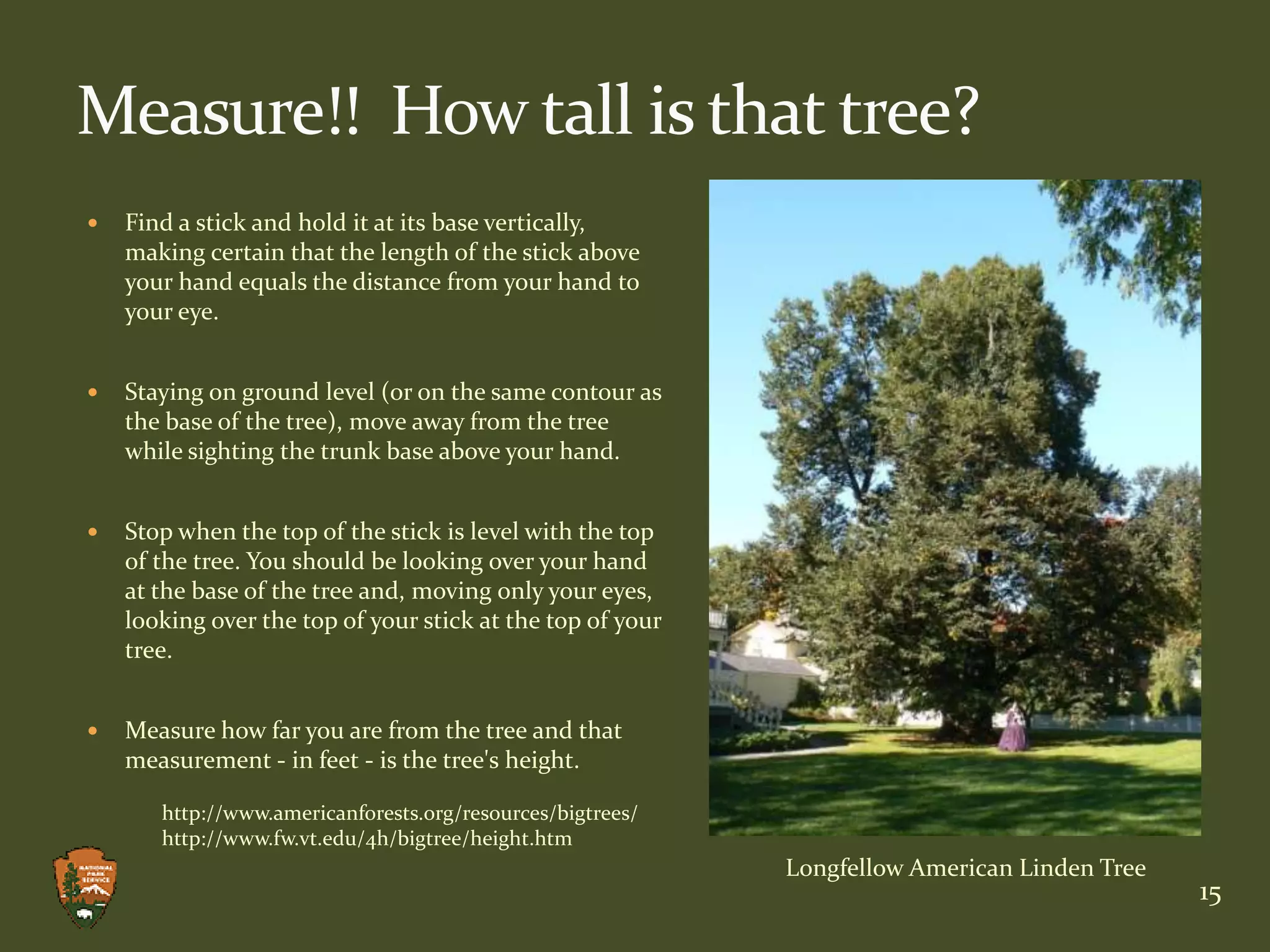 What kind of building  is it?