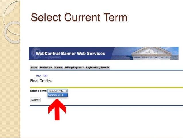 Looking Up Final Grades