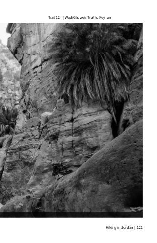 Hiking in Jordan | 121
| Wadi Ghuweir Trail to Feynan Trail 12
 