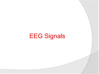 Nour Galal - Information Systems department