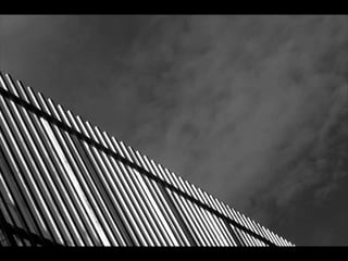 Looks   On Urban Lines 2