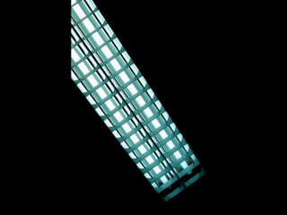 Looks   On Urban Lines 2