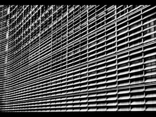 Looks   On Urban Lines 2