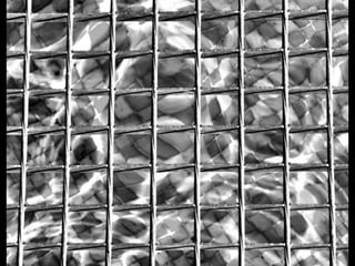 Looks   On Urban Lines 2