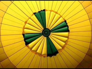 Looks   On Urban Lines 2