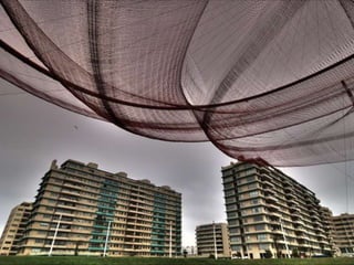 Looks   On Urban Lines 2