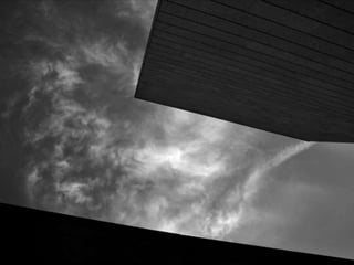 Looks   On Urban Lines 2