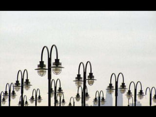 Looks   On Urban Lines 2