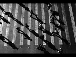 Looks   On Urban Lines 2