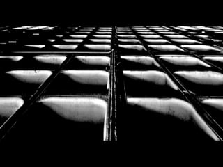 Looks   On Urban Lines 2