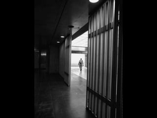 Looks   On Urban Lines 2