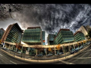 Looks   On Urban Lines 2