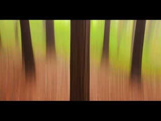 Looks   On Urban Lines 2