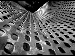 Looks   On Urban Lines 2