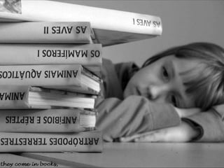 Looks – On Metalanguage