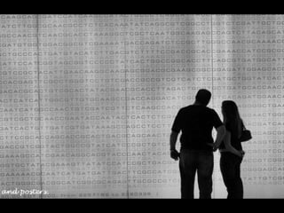 Looks – On Metalanguage