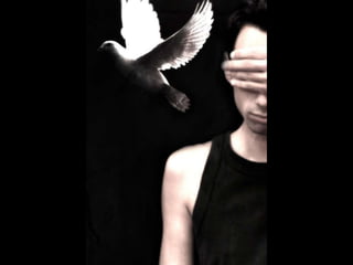 Looks – On Metalanguage