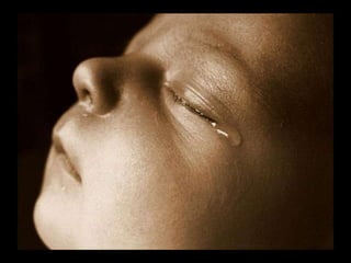 Looks – On Metalanguage