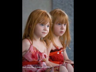 Looks – On Metalanguage