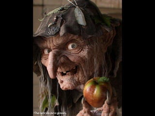 Looks – On Metalanguage