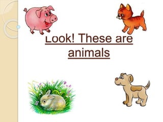 Look! These are
animals
 