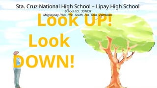 Look UP!
Look
DOWN!
Sta. Cruz National High School – Lipay High School
School I.D.: 301034
Magsaysay Park, Pob. South, Sta. Cruz, Zambales
 