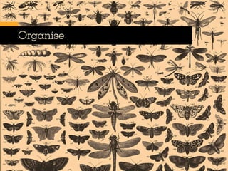Organise
 