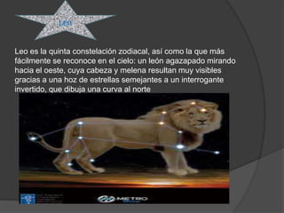 LEO



Leo es la quinta constelación zodiacal, así como la que más
fácilmente se reconoce en el cielo: un león agazapado mirando
hacia el oeste, cuya cabeza y melena resultan muy visibles
gracias a una hoz de estrellas semejantes a un interrogante
invertido, que dibuja una curva al norte
 