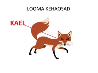 LOOMA KEHAOSAD
KAEL
 