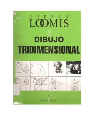 Loomis   dibujo tridimensional