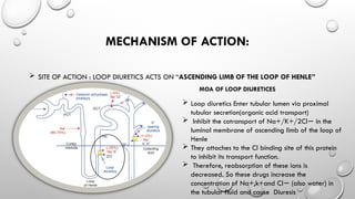 LOOP DIURETICS PHARMACOLOGY.pptx. . | PPTX