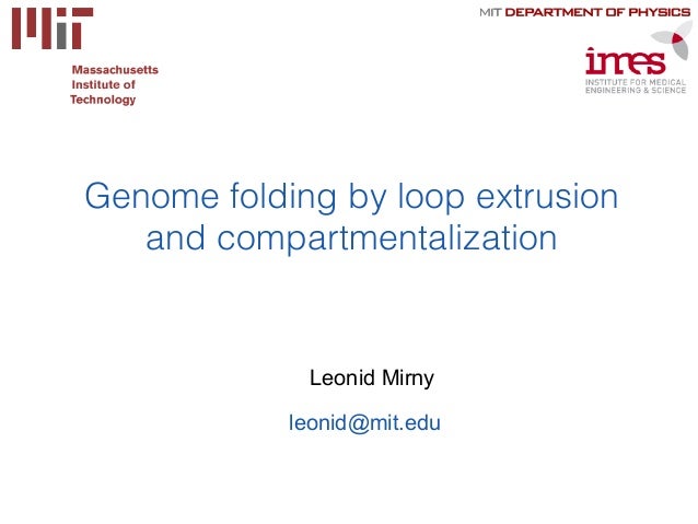 genome folding by loop extrusion and