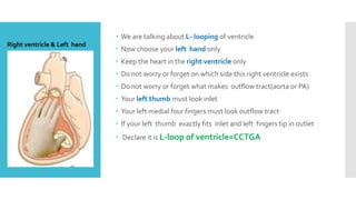 We are talking about L- looping of ventricle
Right ventricle & Left hand

 Now choose your left hand only
 Keep the hand in the right ventricle only

 Do not worry or forget on which side this right ventricle exists
 Do not worry or forget what makes outflow tract(aorta or PA)
 Your left thumb must look inlet
 Your left medial four fingers must look outflow tract
 If your left thumb exactly fits inlet and left fingers tip in outlet
 Declare it is L-loop of ventricle=CCTGA

 