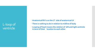  Anatomical RV is on the LT side of anatomical LV

L-loop of
ventricle

 There is nothing to do in relation to midline of body
 Looping of heart means the relation of left and right ventricle
in term of their location to each other

 