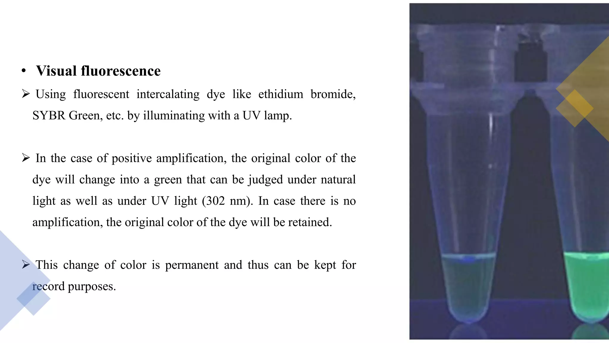 • Visual fluorescence
 Using fluorescent intercalating dye like ethidium bromide,
SYBR Green, etc. by illuminating with a UV lamp.
 In the case of positive amplification, the original color of the
dye will change into a green that can be judged under natural
light as well as under UV light (302 nm). In case there is no
amplification, the original color of the dye will be retained.
 This change of color is permanent and thus can be kept for
record purposes.
 