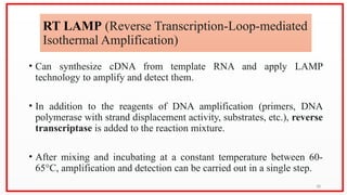 Loop Mediated Isothermal Amplification (LAMP).pptx