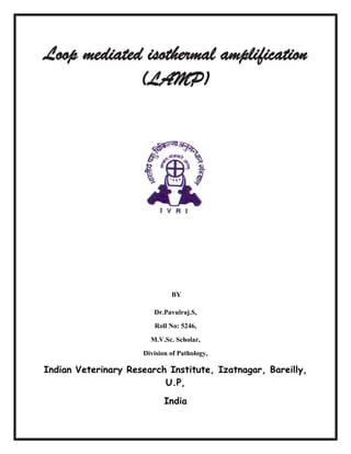 Loop mediated isothermal amplification
(LAMP)

BY
Dr.Pavulraj.S,
Roll No: 5246,
M.V.Sc. Scholar,
Division of Pathology,

Indian Veterinary Research Institute, Izatnagar, Bareilly,
U.P,
India

 