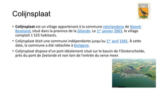 Colijnsplaat
• Colijnsplaat est un village appartenant à la commune néerlandaise de Noord-
  Beveland, situé dans la province de la Zélande. Le 1er janvier 2003, le village
  comptait 1 525 habitants.
• Colijnsplaat était une commune indépendante jusqu'au 1er avril 1941. À cette
  date, la commune a été rattachée à Kortgene.
• Colijnsplaat dispose d'un port idéalement situé sur le bassin de l'Oosterschelde,
  près du pont de Zeelande et non loin de l'entrée du verse meer.
 