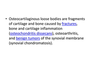 • Osteocartilaginous loose bodies are fragments
of cartilage and bone caused by fractures,
bone and cartilage inflammation
(osteochondritis dissecans), osteoarthritis,
and benign tumors of the synovial membrane
(synovial chondromatosis).
 